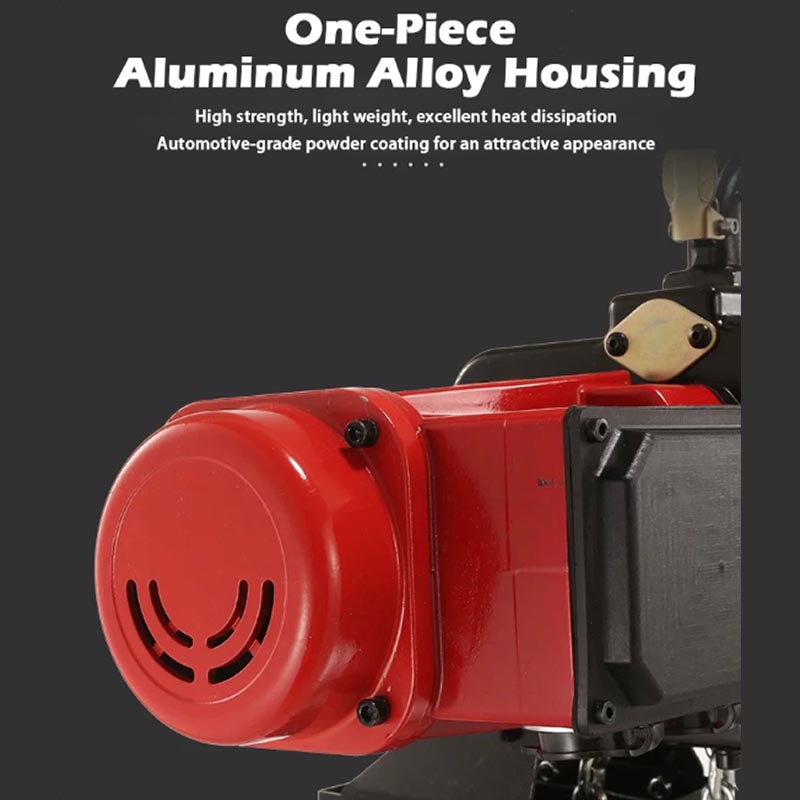 Electric Chain Hoist - 220V Electric Chain Hoist Adjustable Speed