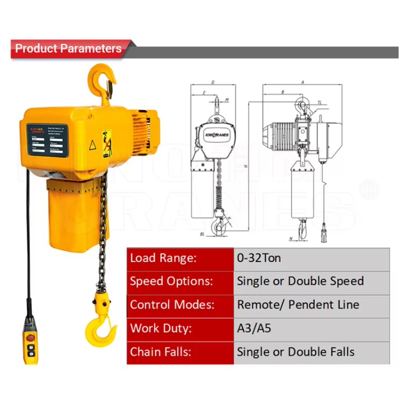IP55 Waterproof Dustproof Elec - Electric Chain Hoist 评论和价格