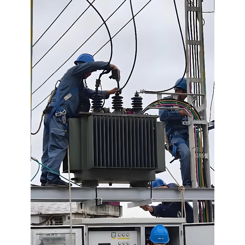 Euro Grid Liquid Immersed Tran - Heavy Equipment Supplier 评论和价格