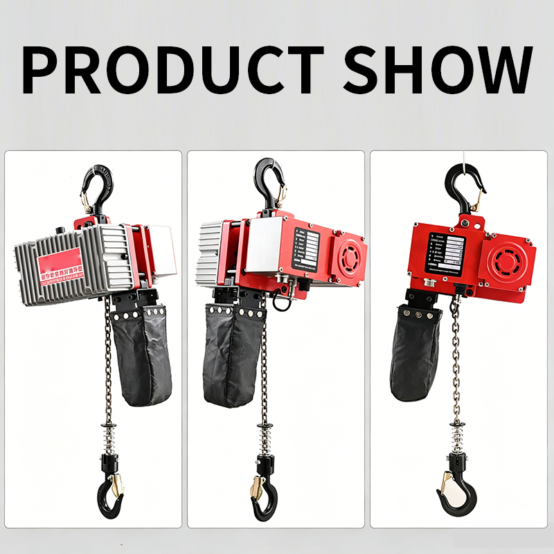 Compact Mini Chain Hoist with  - Electric Chain Hoist 评论和价格