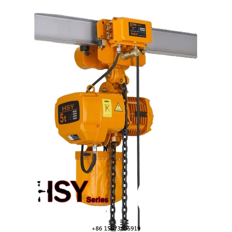 200kg 1000kg Philippines Price - Electric Chain Hoist 评论和价格